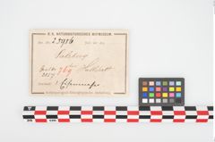Etikett zu Eisendolchmesser (NHMW-PRAE-025986)